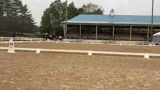 Amanda Braun - USDF Equitation