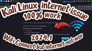 how to fix kali linux wifi connect internet not working 2024