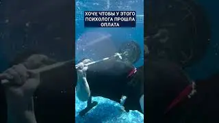 Как не сдать после такого?? #ЕГЭ #мотивация #школково