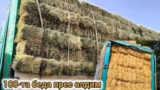 СУРХОНДАРЁ САРИОСИЁ БЕДА ПРЕС СОМОН ПРЕС НАРХЛАРИ