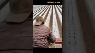 Teknik Melubangi Mulsa