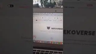 #catgirl
