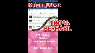 Cara bikin Keluar Ular di FB 100% berhasil bukan hanya ketik #RAN