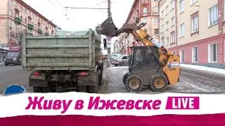 Живу в Ижевске 28.11.2018