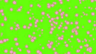 Green Screen Flowers