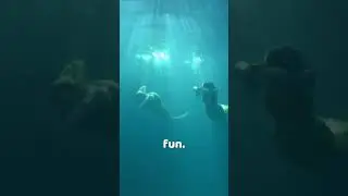 How to shoot a movie scene underwater - H2O Behind the Scenes 