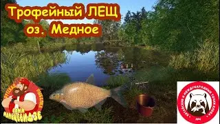 Лещ • Медное • Охота за трофеем