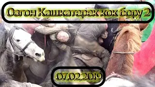 Кокбору 2019 02 07 Озгон кашкатерек улак 2