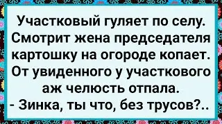 Как Жена Председателя Картошку Копала! Большой Сборник Свежих Смешных Жизненных Анекдотов!