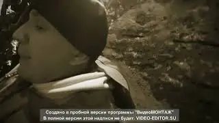 обзор димы масленикова