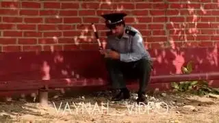 Гаи прикол