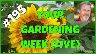 Gardening as a Late Bloomer (Q&A)