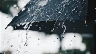 Tu lo has querido: En los días de lluvia de Luis García (Extra Fantástica) - FORMIDABLE SON