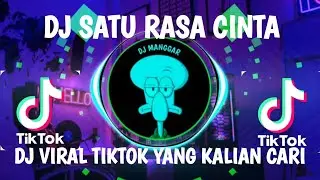 DJ BUKAN KU INGIN MEMASTIKAN AKULAH CINTA SEJATIMU || DJ SATU RASA CINTA