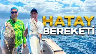We Came to Hatay, We Knocked Out the Fish