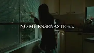Thalia - No me enseñaste [letra]