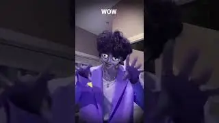 #amirchik