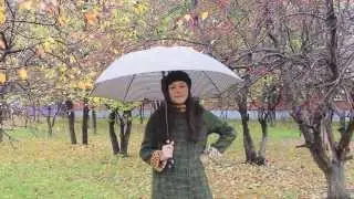 LINGVISTOV English Lesson - Talking about the Weather