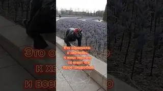 хейтеры, прошу, досмотрите до конца. 