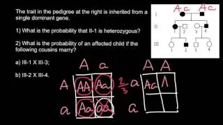 How to solve Pedigree problems?