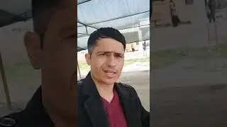 сарасиё сангардак туй кураш