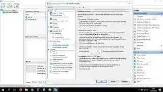 Using advanced virtual machine network settings