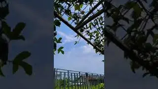 Langsing ala pramugari 