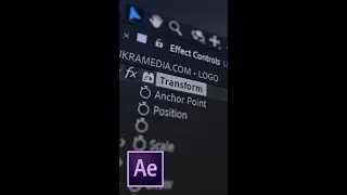 Transform Effect in After Effects 