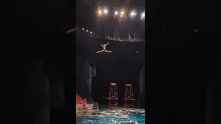 Flyyyyy 🫣 would you Jump? 