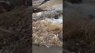Мегет