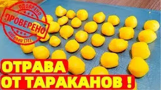 Отрава для тараканов своими руками Борная кислота и желток ! ПО СОВЕТУ БАБУШКИ !!!