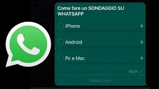 COME FARE I SONDAGGI SU WHATSAPP: GUIDA PER IPHONE, ANDROID E PC/MAC