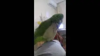 Кайфует