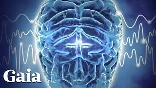 How Neuroplasticity Can Unlock Supernatural Powers