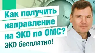 Как получить направление на ЭКО по ОМС? ЭКО бесплатно!