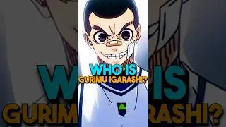Who Is Gurimu Igarashi🤔 