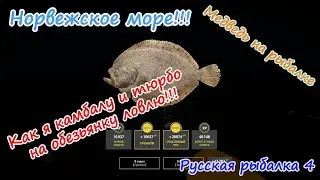Норвежское море, обезьянка.  