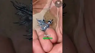 Başkalarının Zehrini Çalan Hayvanlar! 🐸☣️🐍