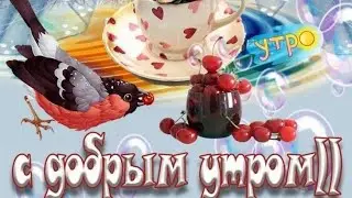 Доброе Утро!!!! Пусть день сложится удачно!!!!
