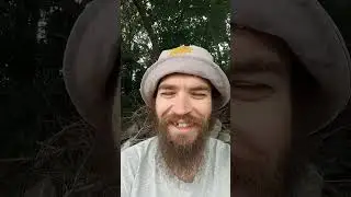 Казимир-тотемы и как воспитывать ч.с