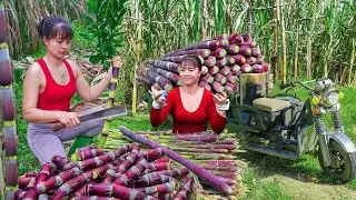 Bushcraft Survival Farming – Selling Sugar Cane and Vegetables at Local Market