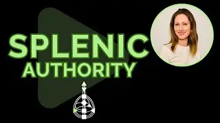 Human Design Splenic Authority Explained
