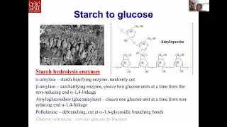 GLSBC 2021: Talk | Biofuels from Renewable Biomass and CO2 in a Circular Bioeconomy