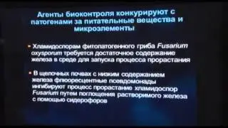 Д. Мавроди Лекция #1 