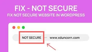How to fix Not Secure on Wordpress