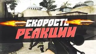 Скорость реакции человека