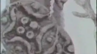IL FAVOLOSO MARIO DEL MONACO PART2