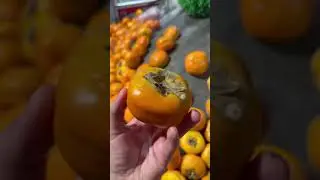 Факт?😂 | мемы | приколы от zubarefff 