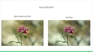 Shooting 35mm Cinema Film: A still photographer's guide to shooting ECN-2 films