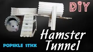 DIY Popsicle stick.  Diy HAMSTER Tunnel. Hamster toys